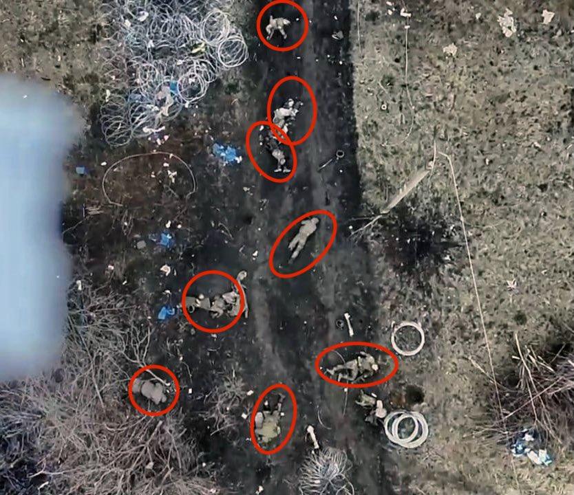这张图片是5月9日乌克兰无人机航拍照片，俄军在扎波罗热地区举行了“胜利日阅兵式”