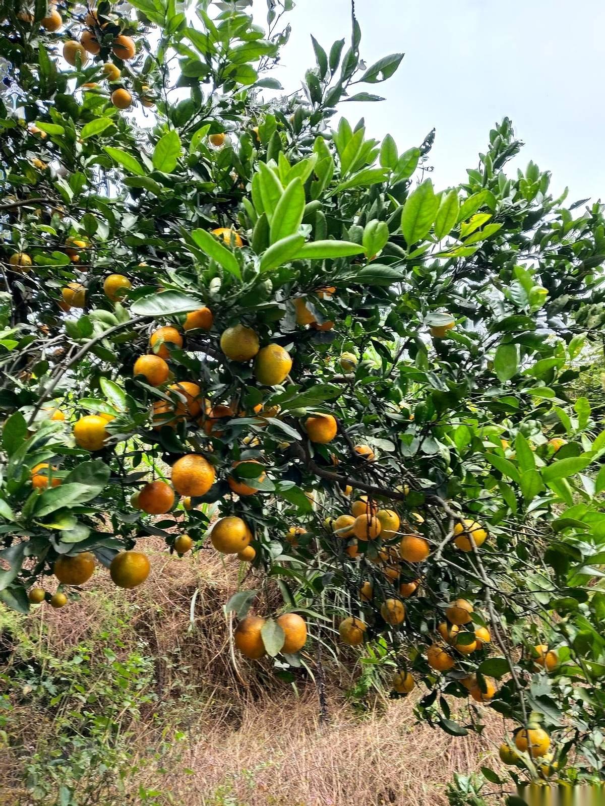 又刷到2025年要暴富的“天选之子”了。我跟你说，别信。或者说，别全信。真