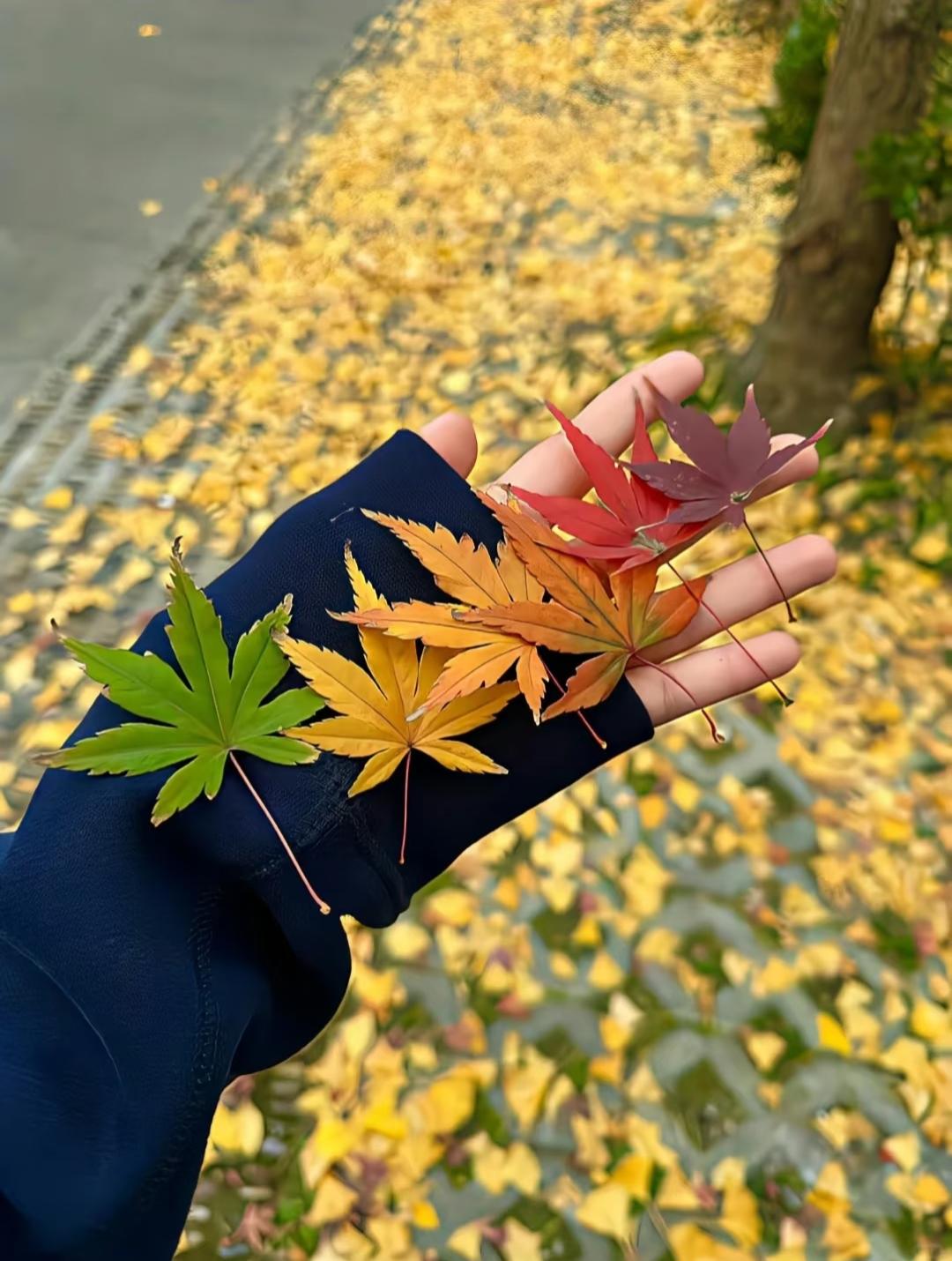 人这一生退休后能过得舒心无非就三种光景：要么有份退休金，吃喝不愁图安