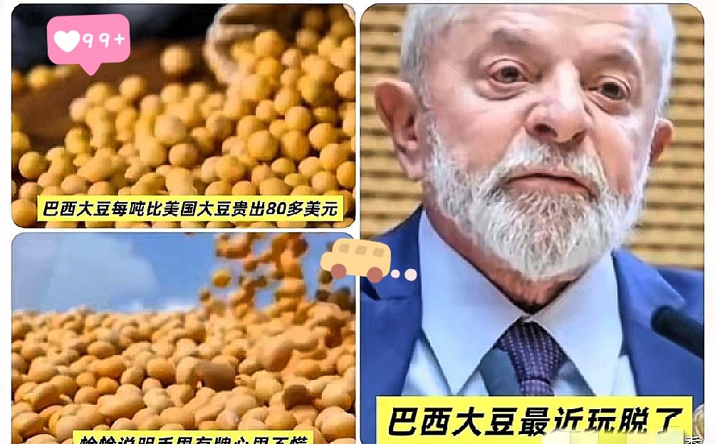 中国停买大豆后,巴西阿根廷豆价猛涨!我们为啥不能实现大豆自给…?最近全