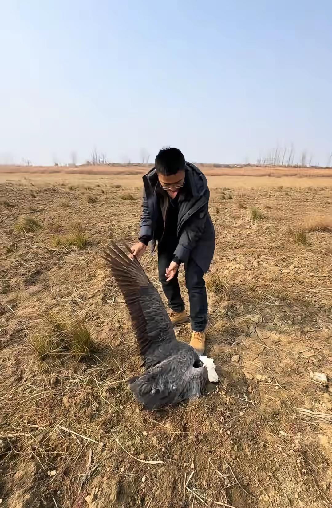 抓到了，鄱阳湖投毒的抓到了大快人心！鄱阳湖投毒的嫌疑人全抓到了，5个人一个没