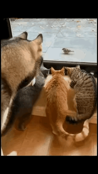 事实证明，一个好的团队只要出现一个搅局的，都会前功尽弃。