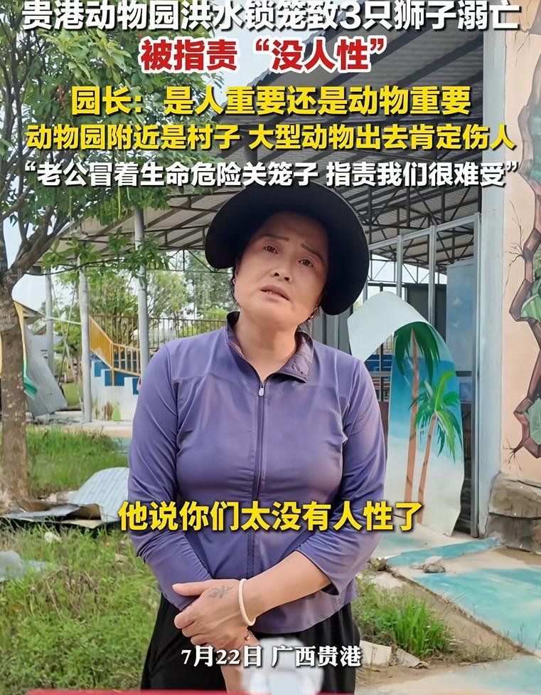 广西贵港，一家动物园被洪水大面积淹没。为防止园内猛兽出逃伤人，园方在洪水暴涨前紧