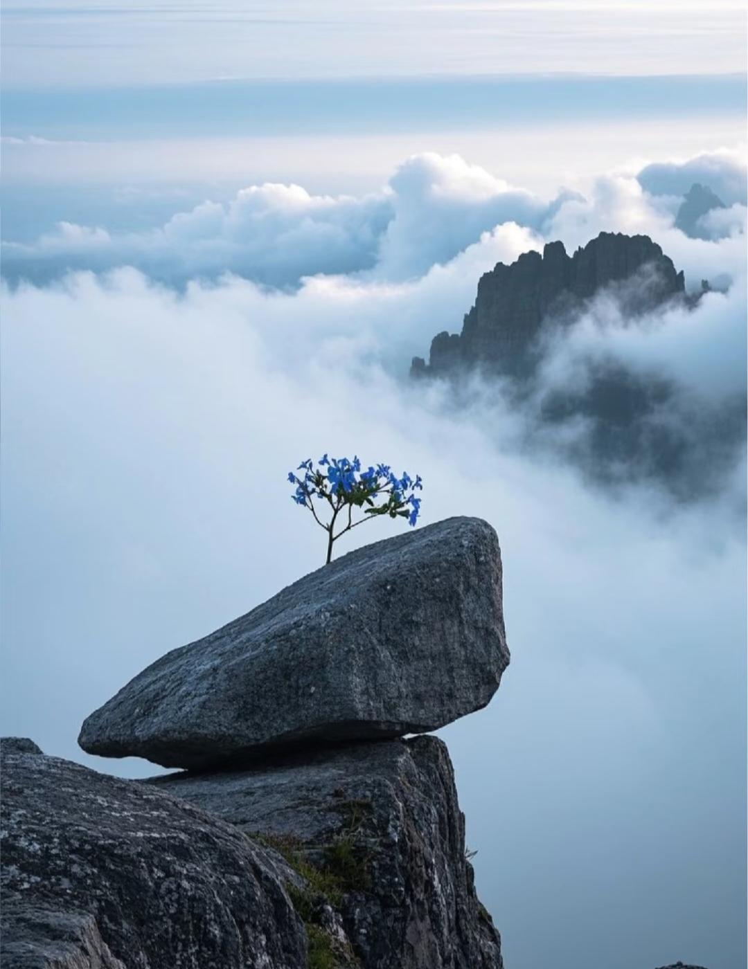 人老了真的发现，做个决定都很难!和老伴来香港帮儿子照顾孙子，转眼孙子可以上小学