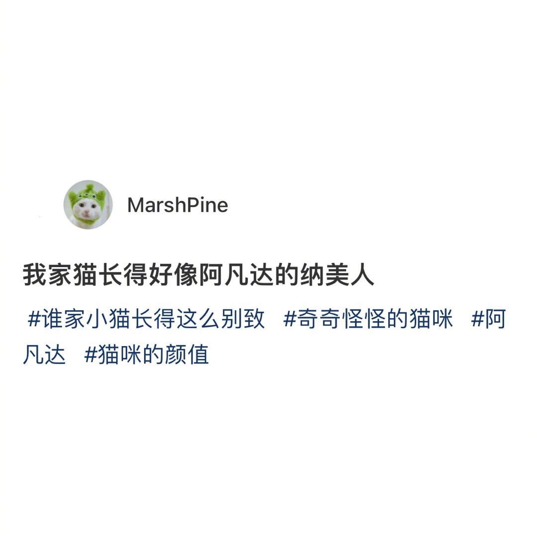 猫长得好像阿凡达里的纳美族人……​​​