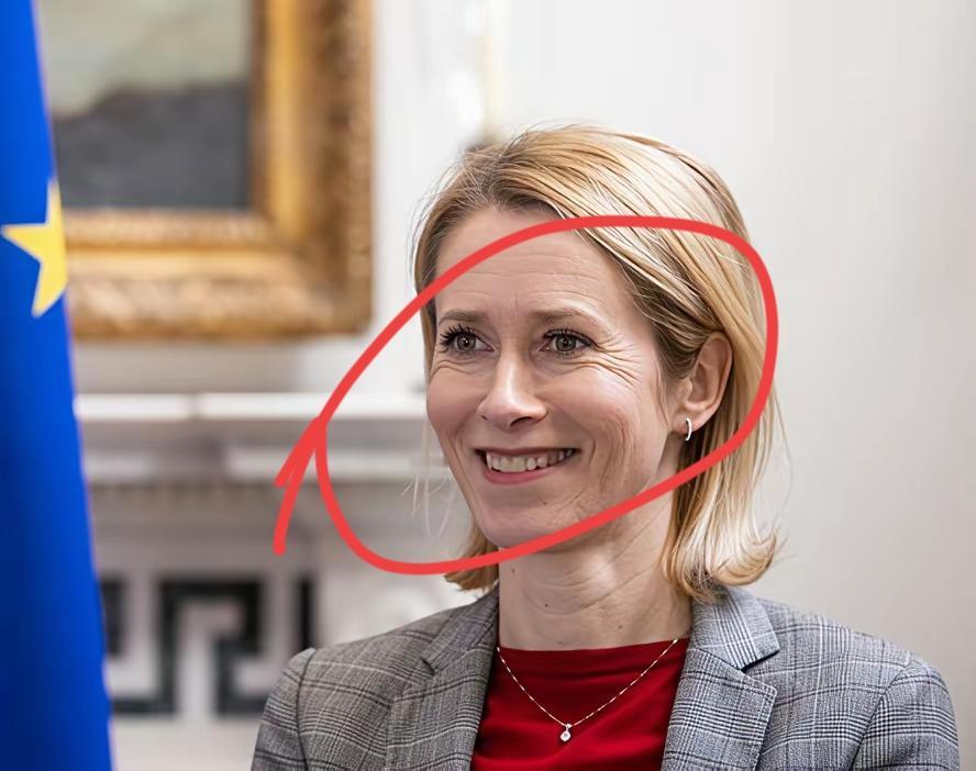 美丽的欧盟外长遭遇羞辱一幕：莫斯科永远不会和她讨论任何事情！1月25日，克里姆林