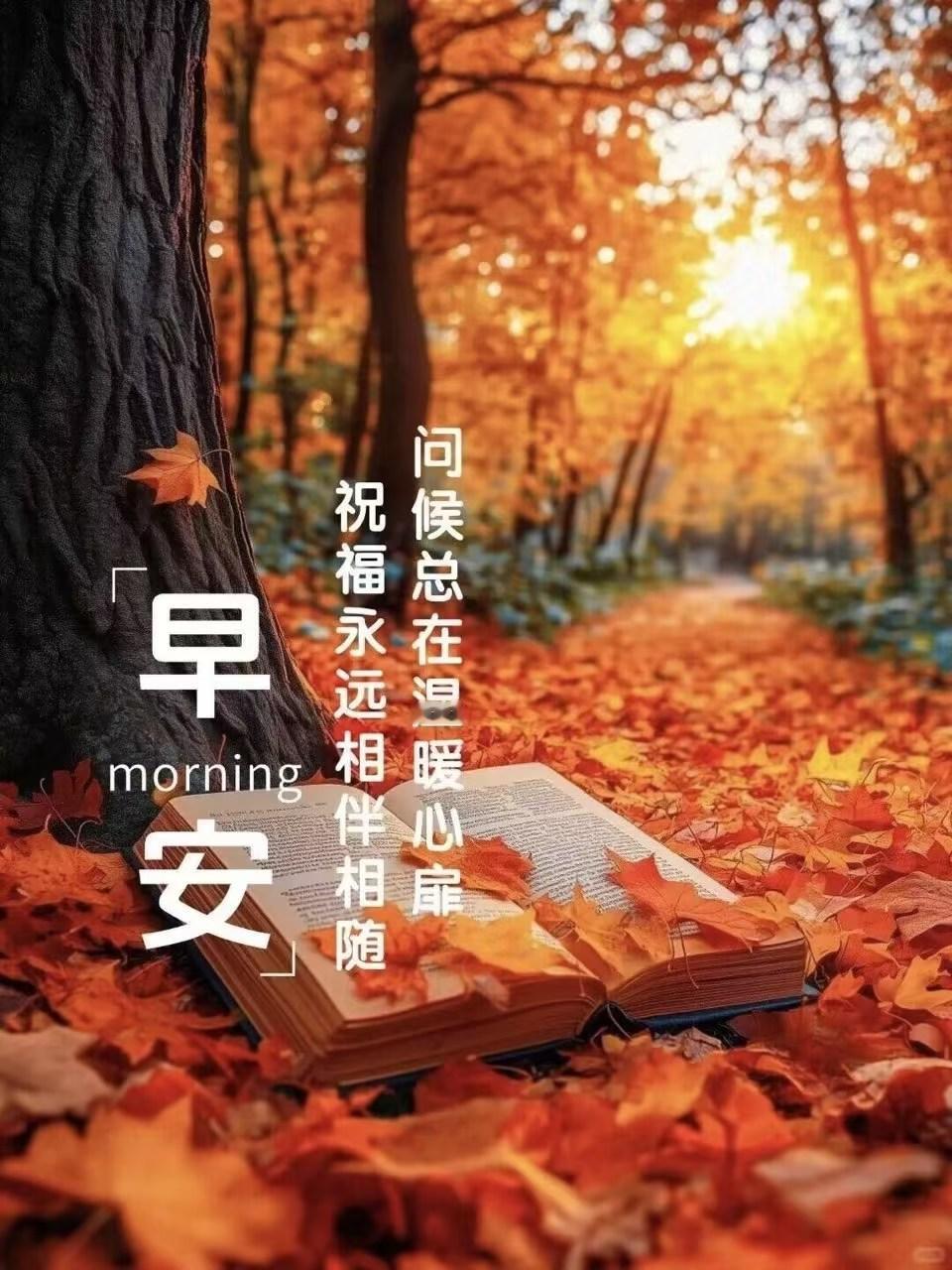 早安，问候总在温暖心扉，祝福永远相伴相随。🍂📖🌞
