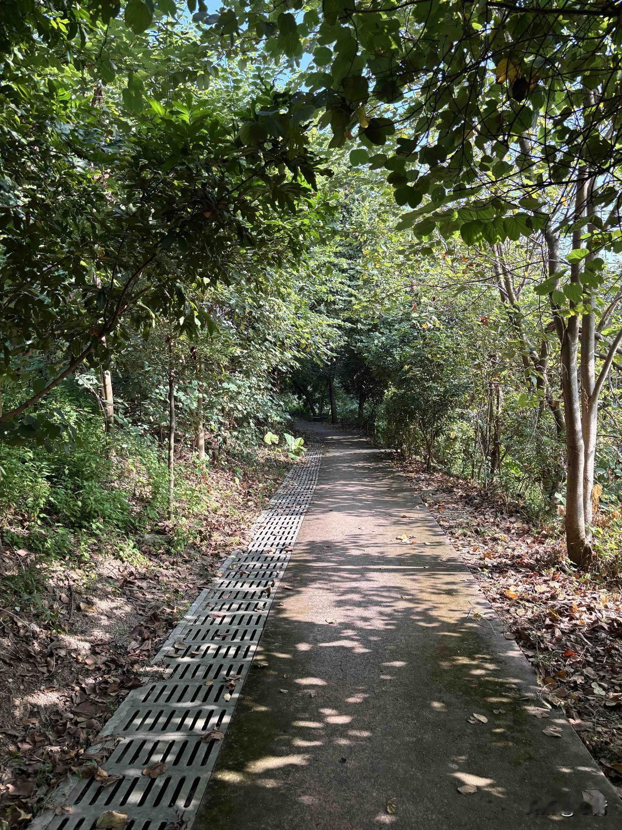 十大败家行为：第一名，嗜赌。第二名，养小三第三名，网贷第四名，迷恋彩票。