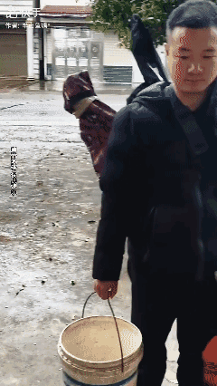 当钓鱼🎣大师空桶而归的时候…[哭哭]
