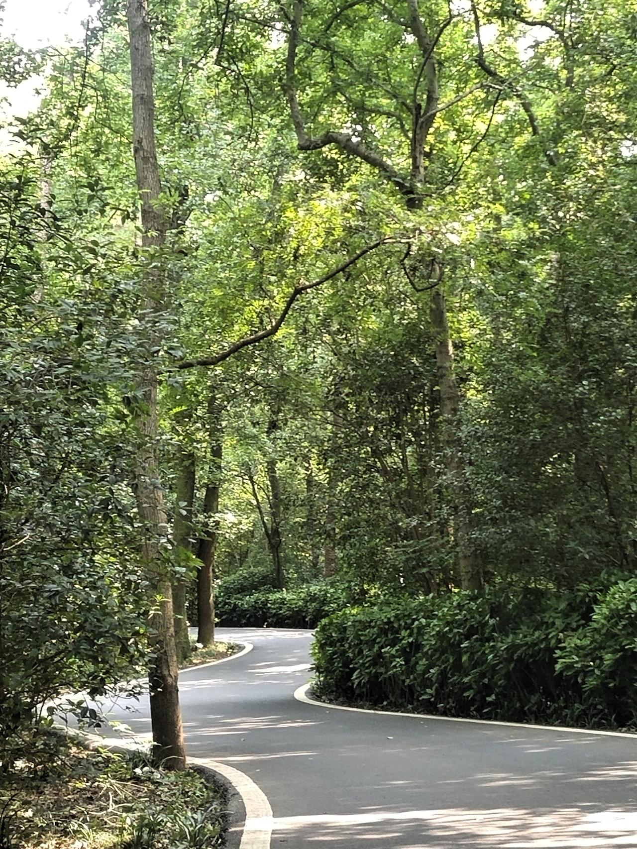 今天发了个疯，在南京中山陵风景区暴走了快两万步，汗流浃背人都累瘫了。主要是看