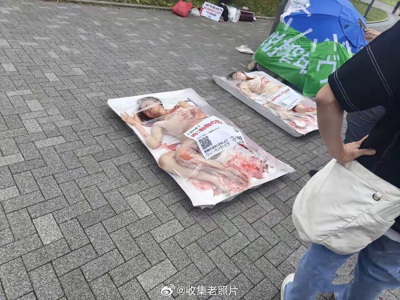 日本，“素食主义者”闹麻了。她们将自己弄的“血呼呼”的套进塑料袋里，然后躺在地上