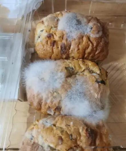 河北一位大姐在蛋糕店买了几块面包，吃了两块后把剩下的放客厅。可到了第二天，她正准