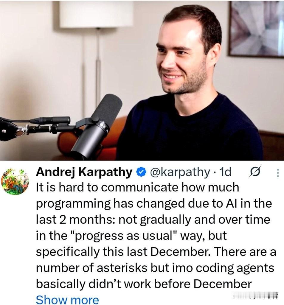 人工智能领域的世界顶尖专家安德烈·卡帕蒂表示，编程正变得越来越面目全非。我们
