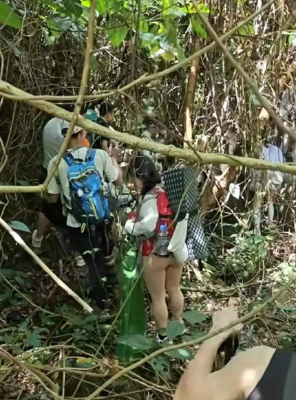 刷到一段爬山视频，画面里那人穿着贴身肉色袜裤，远看像没穿裤子，镜头一晃差点把我手