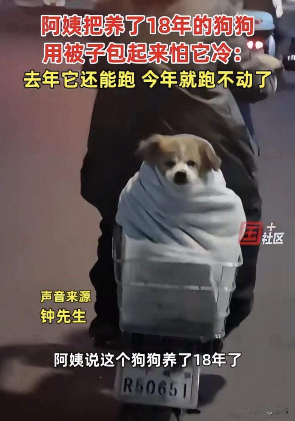 泪目了！这天夜里，一位大哥去夜跑，当他跑到一条小路上的时候，看到了非常暖心的一幕