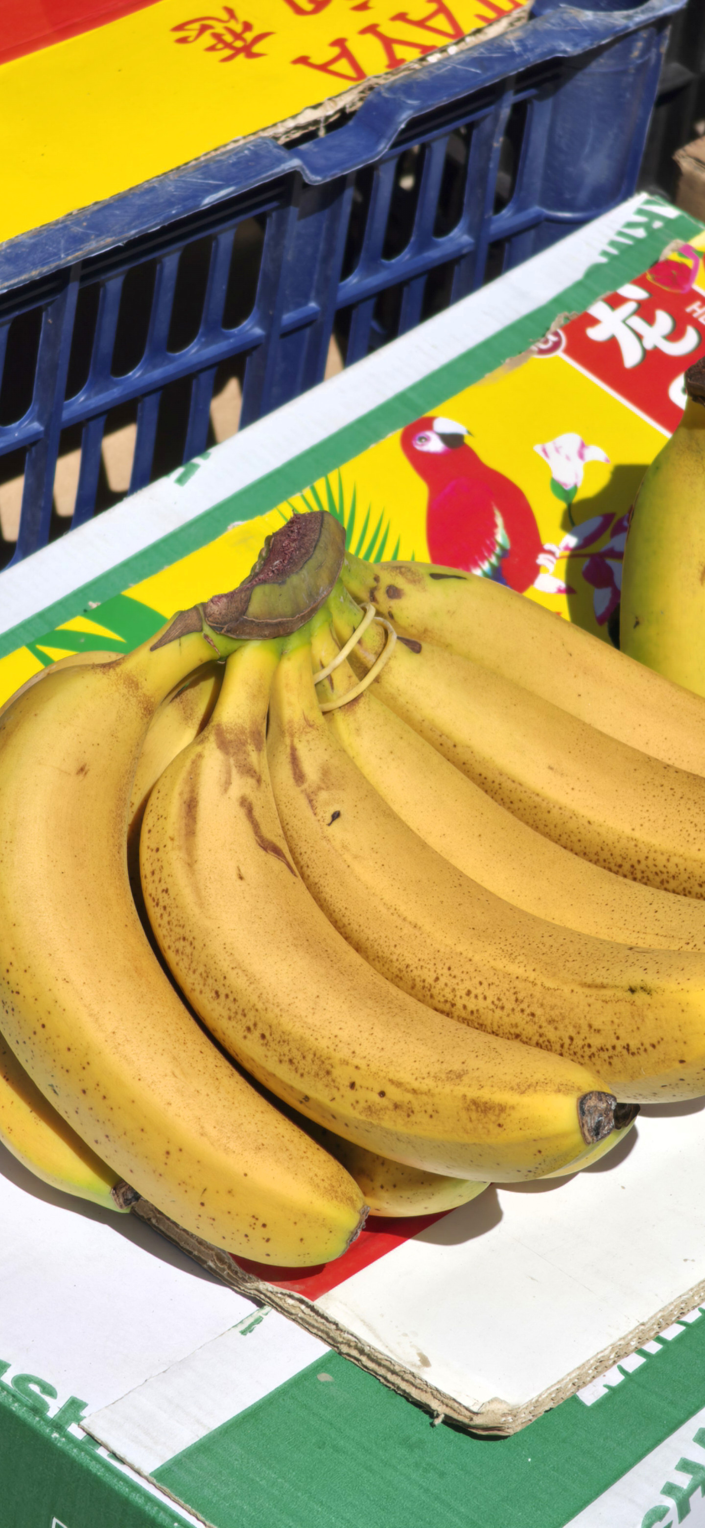 真实肉眼看到的样子vs你在网上经常看到的鲜明照片，差距巨大，但是长期灌输下，