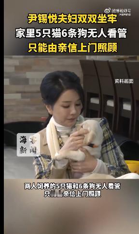 尹锡悦夫妇没有子女，两人酷爱宠物，一共饲养的5只猫和6条狗。过往，我们看过很多两