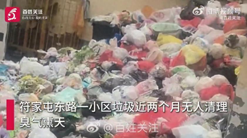 “太现实了！”河南洛阳，一老旧小区垃圾堆积了两个月没有人清理，夏天一到，恶臭弥漫