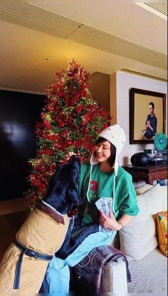 刘嘉玲在香港豪宅开圣诞派对简直壕翻天！客厅圣诞树都快顶到天花板了，树下堆满大牌礼