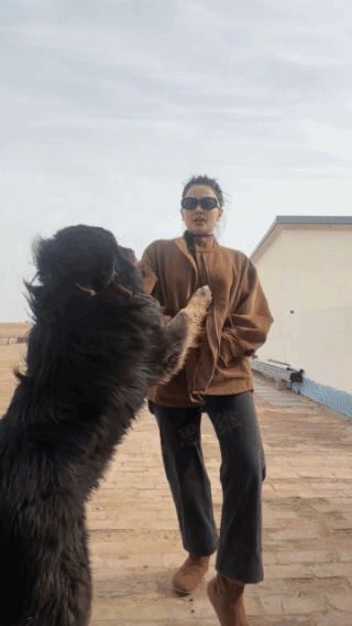 狗狗:你可不敢神经了，否则我可怎么活啊！