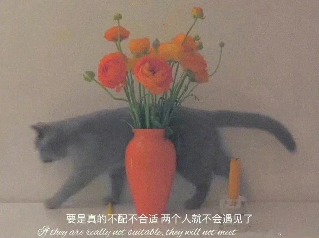 三观超正的婚姻观夫妻久了就是亲人，少听网上的毒鸡汤，什么过节不给你转账了，不送礼