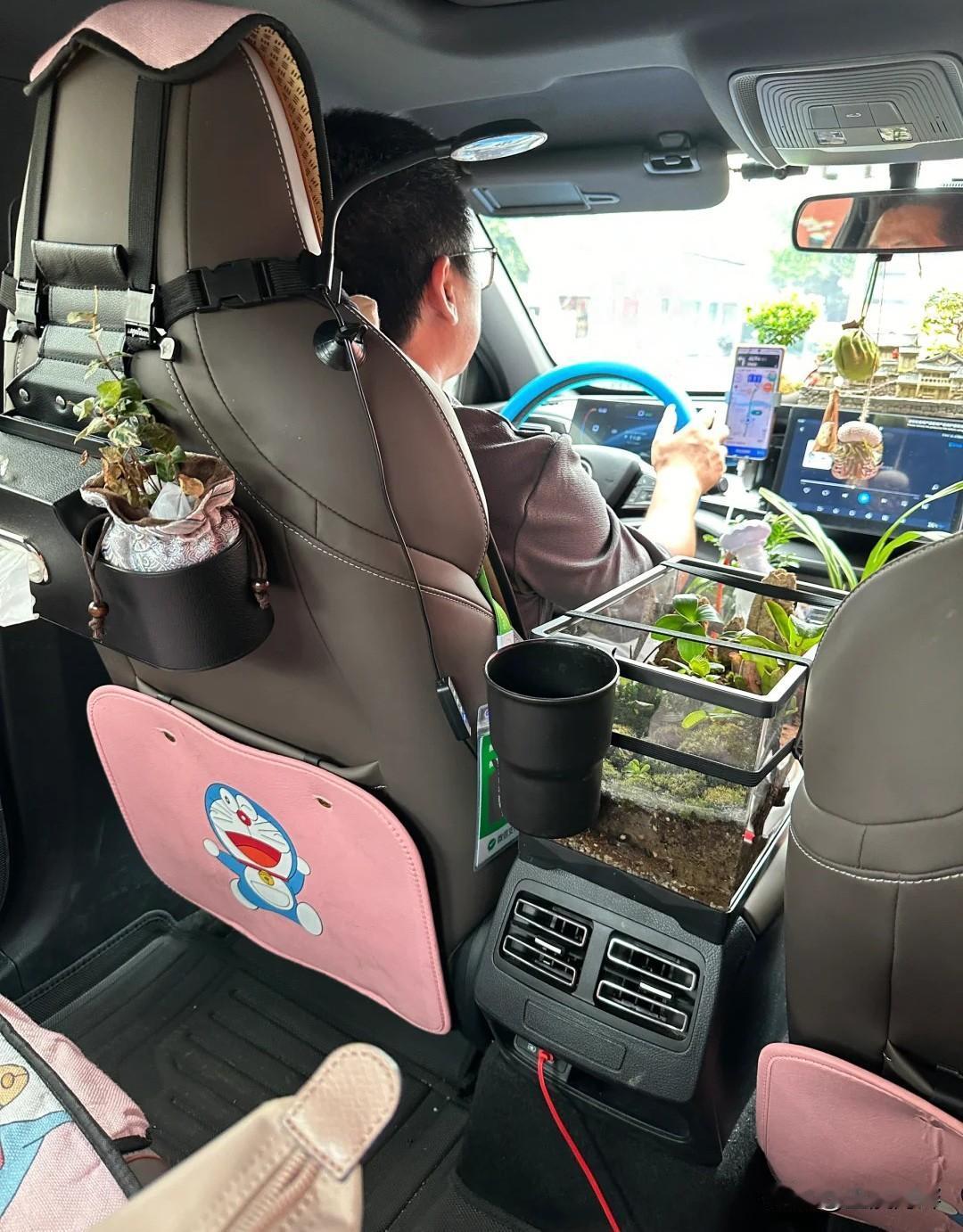 叫了一辆网约车去高铁站，车内干净清洁，令人惊奇的是，驾驶位上还整齐摆放了一盆绿植