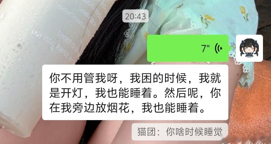 死猪概念
