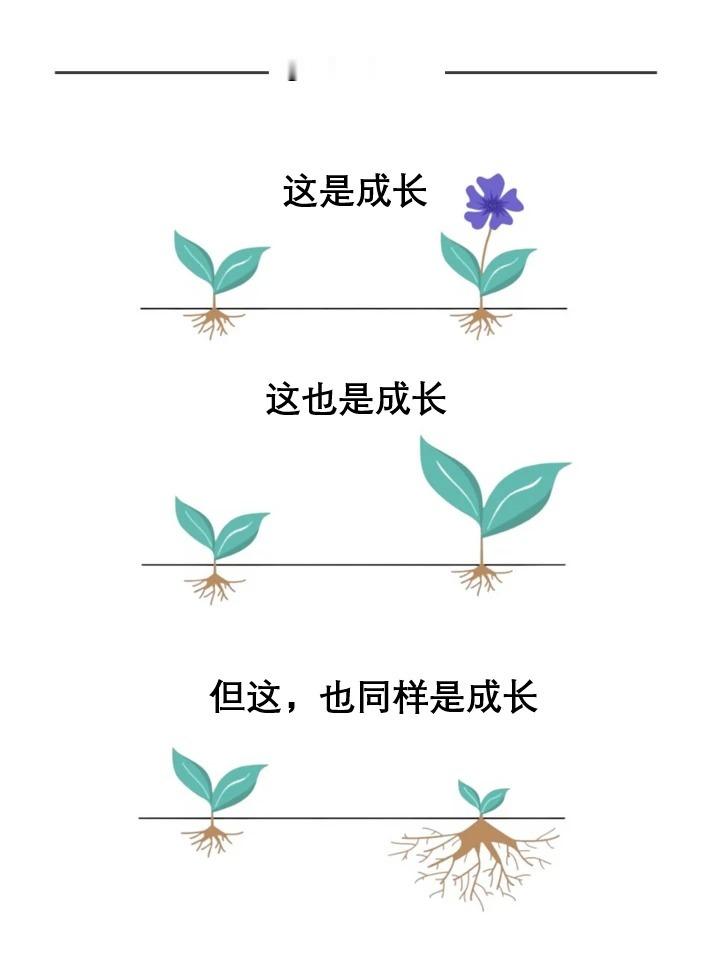 现实中确实是这样的吗
