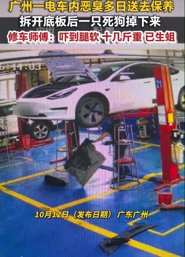 广州白云区： 一辆电车连续多日散发恶臭，车主一开始以为是空调滤芯脏了，换了滤芯、