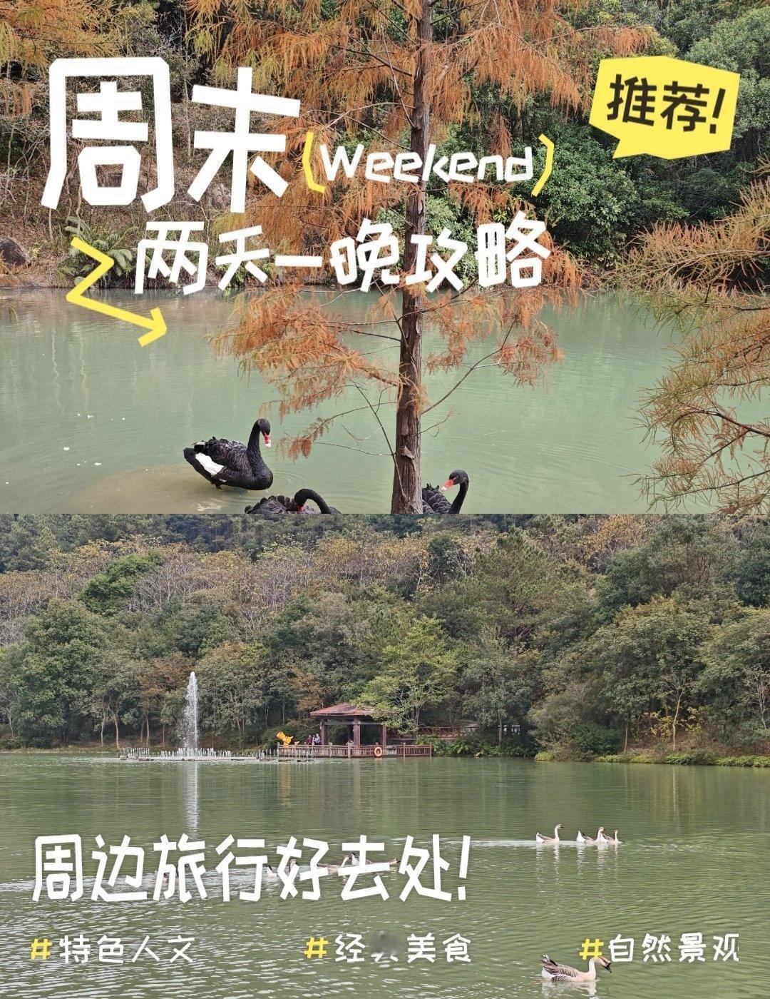 藏在广州的吸氧秘境📍广州广州白江湖森林公园周末想逃离市区喧嚣，增城白江湖