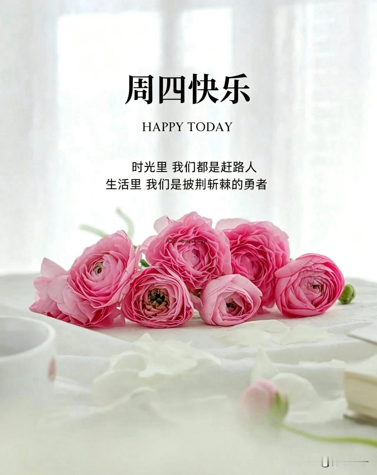🍂²⁰²⁶/₀₉.₁₀ᵕ̈周四早安｜秋晨向暖☕️🍒🍑秋晨载着暖意，
