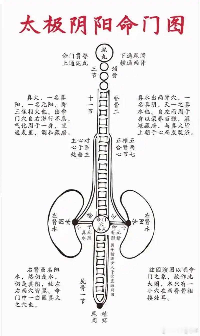 《命门真火篇》：生命本源之火的本质、盛衰与调养（依《黄帝外经·命门真火篇》核心思