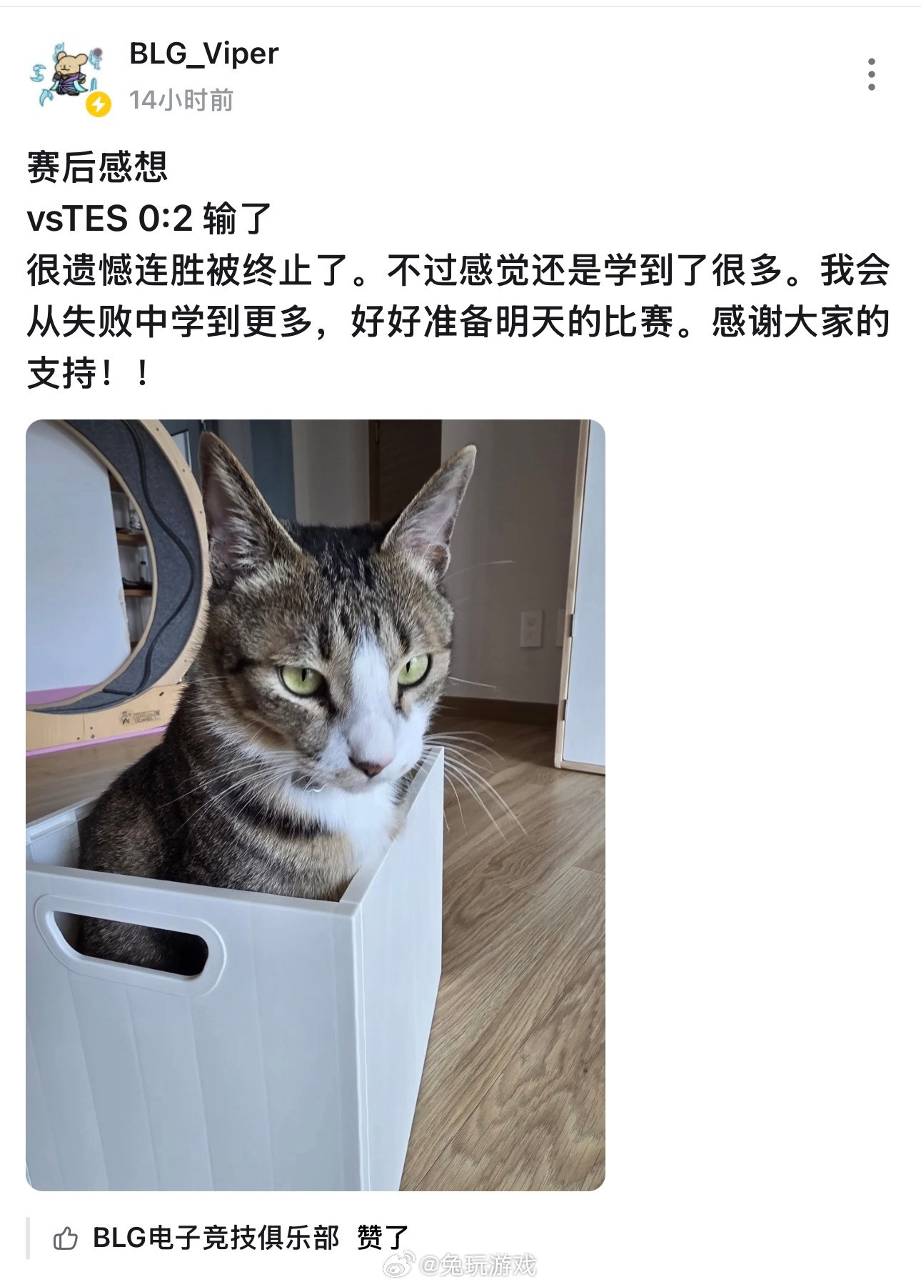 Viper回应BLG连胜被终止Viper：vsTES0:2输了，很遗憾连胜被