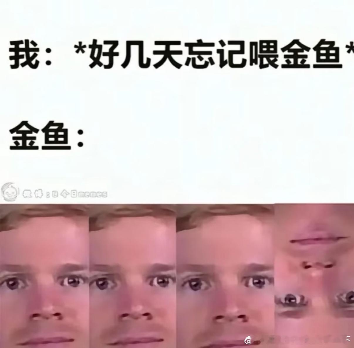 5431不好意思但是有点想笑​​​