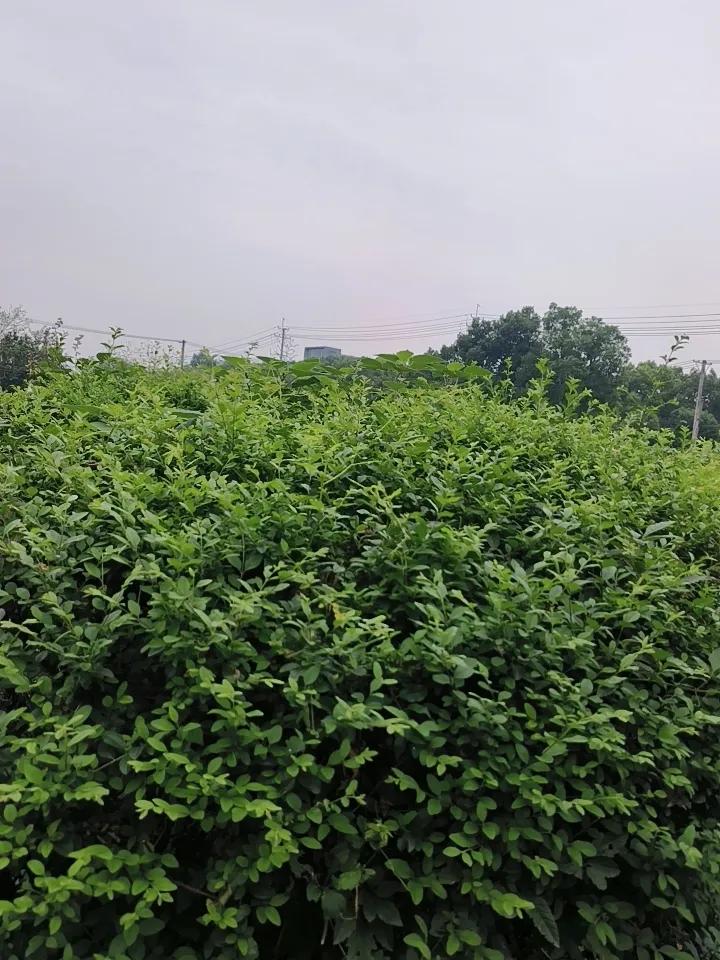 一个男人最大的骄傲就是有一个心疼关心他的女人。一个女人最大的欣慰，，安全感就