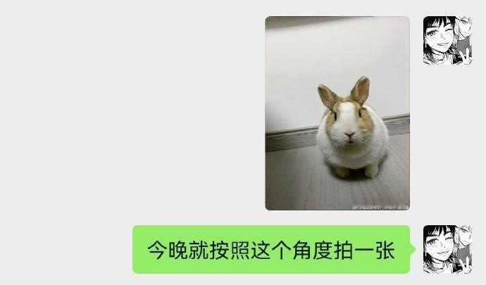 7965🐇【好笑吗】我只看见了一个努力拍照的中年人​​​​
