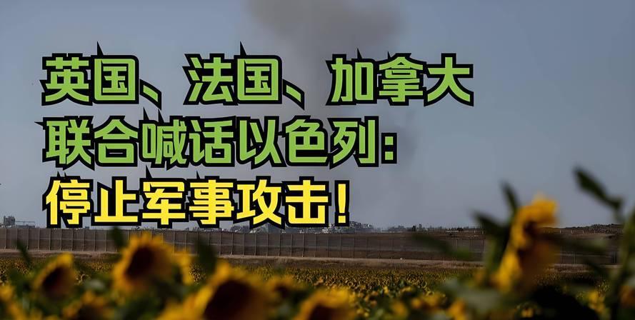 这次绝对要一撸到底法国总统马克龙昨天在巴黎表示:任何对巴勒斯坦的进攻、掠夺和占