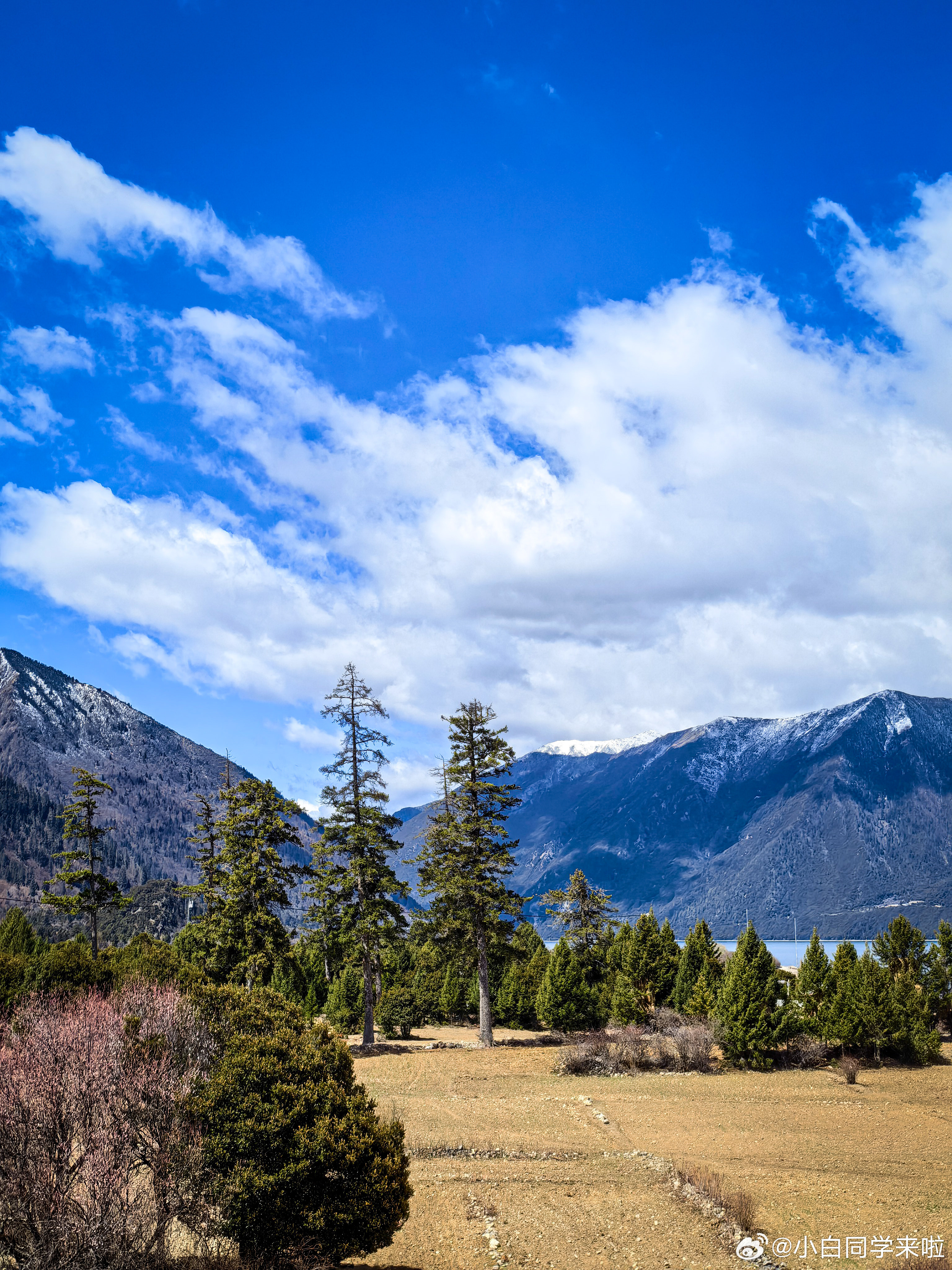 有几年没来西藏这个相对高海拔地区了，以至于这几天小心翼翼的。直到返程才敢嘚瑟一句