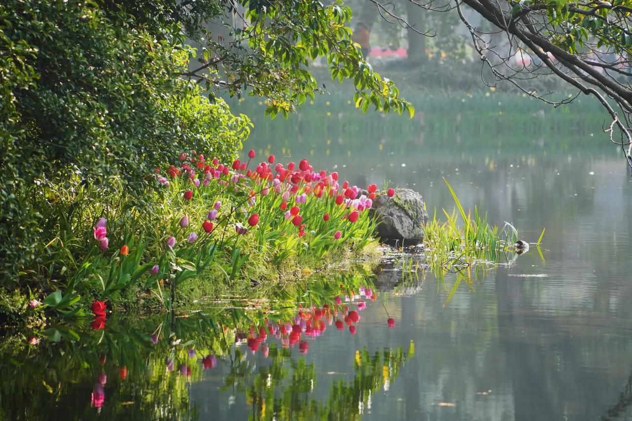 通常补课的多是南外、南师附中、金陵中学、一中、29中、中华中学，还有13中