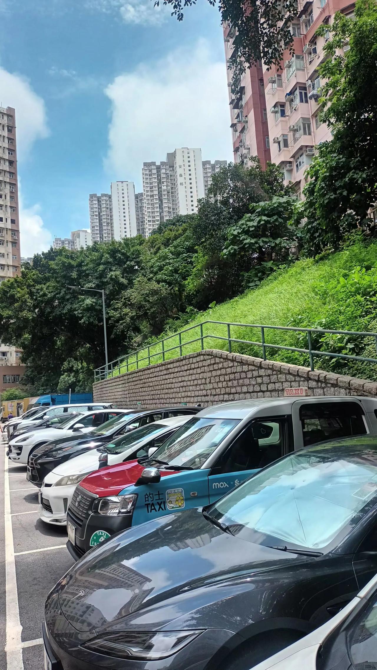 小山坡上楼房错落有致，雨后护坡绿植凸显青萃，划一垒石墙下一字排开保养得宜车辆，一