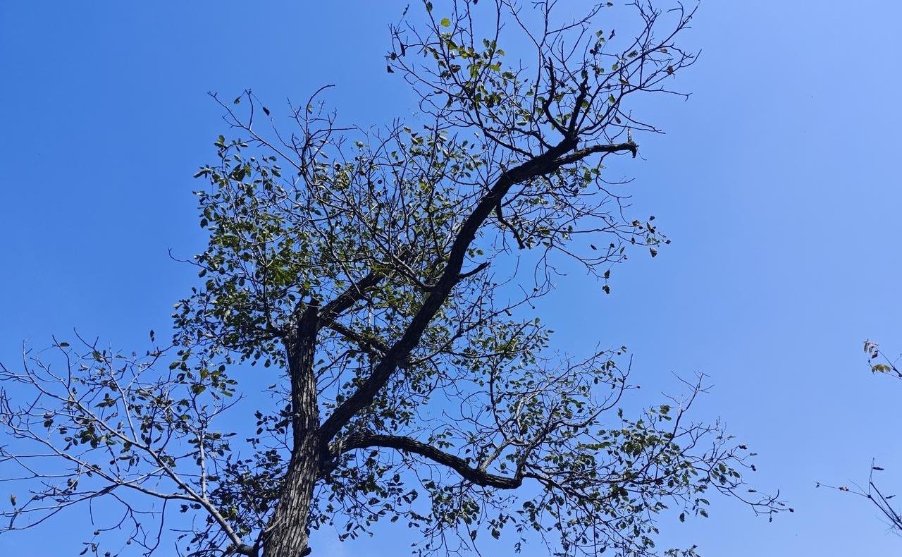 小叔子一个电话打过来，我这心跳瞬间拉满！以前他来电准没好事，不是借钱就是老人生病