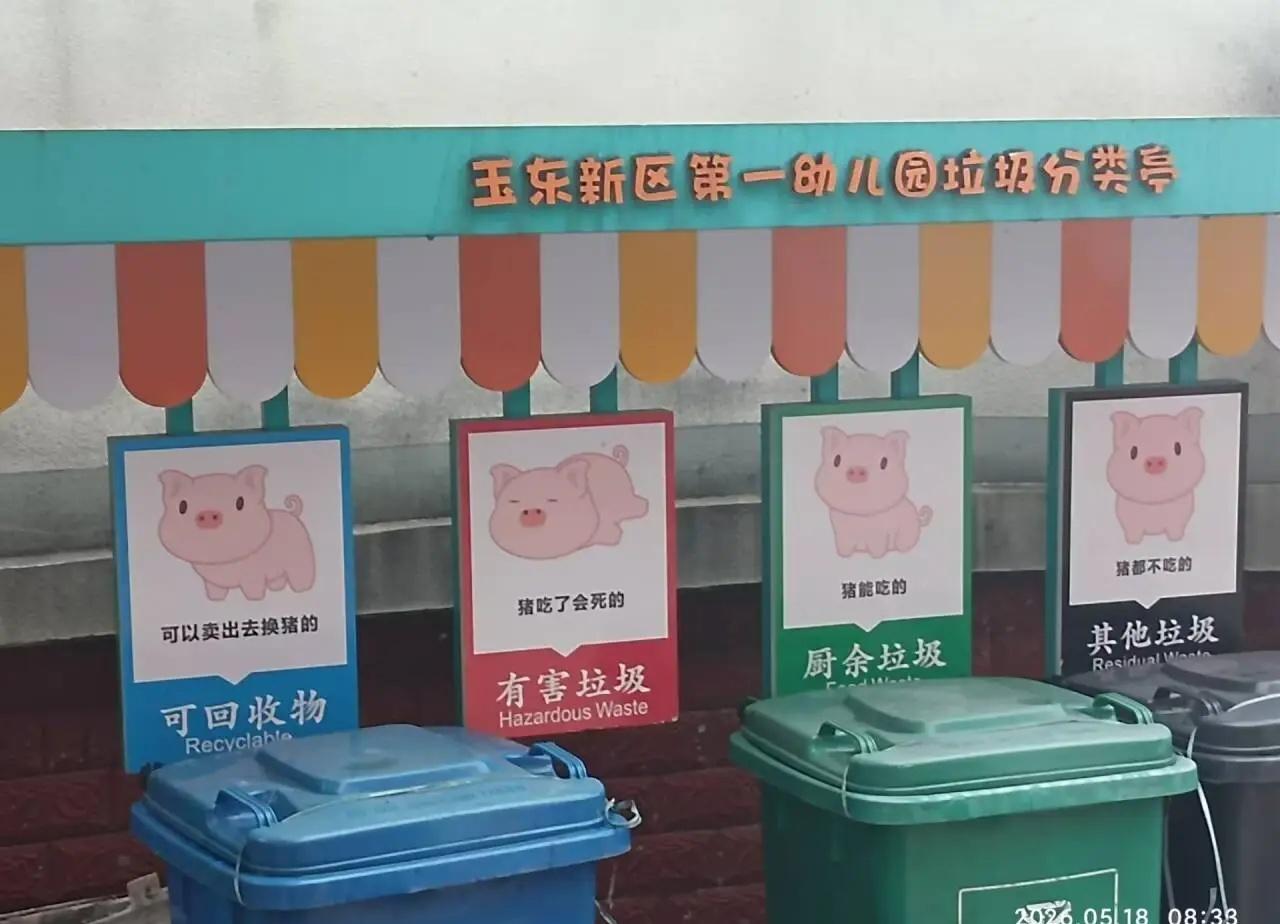 小猪垃圾分类爱护环境人人有责垃圾不落地梗图二次元小猪