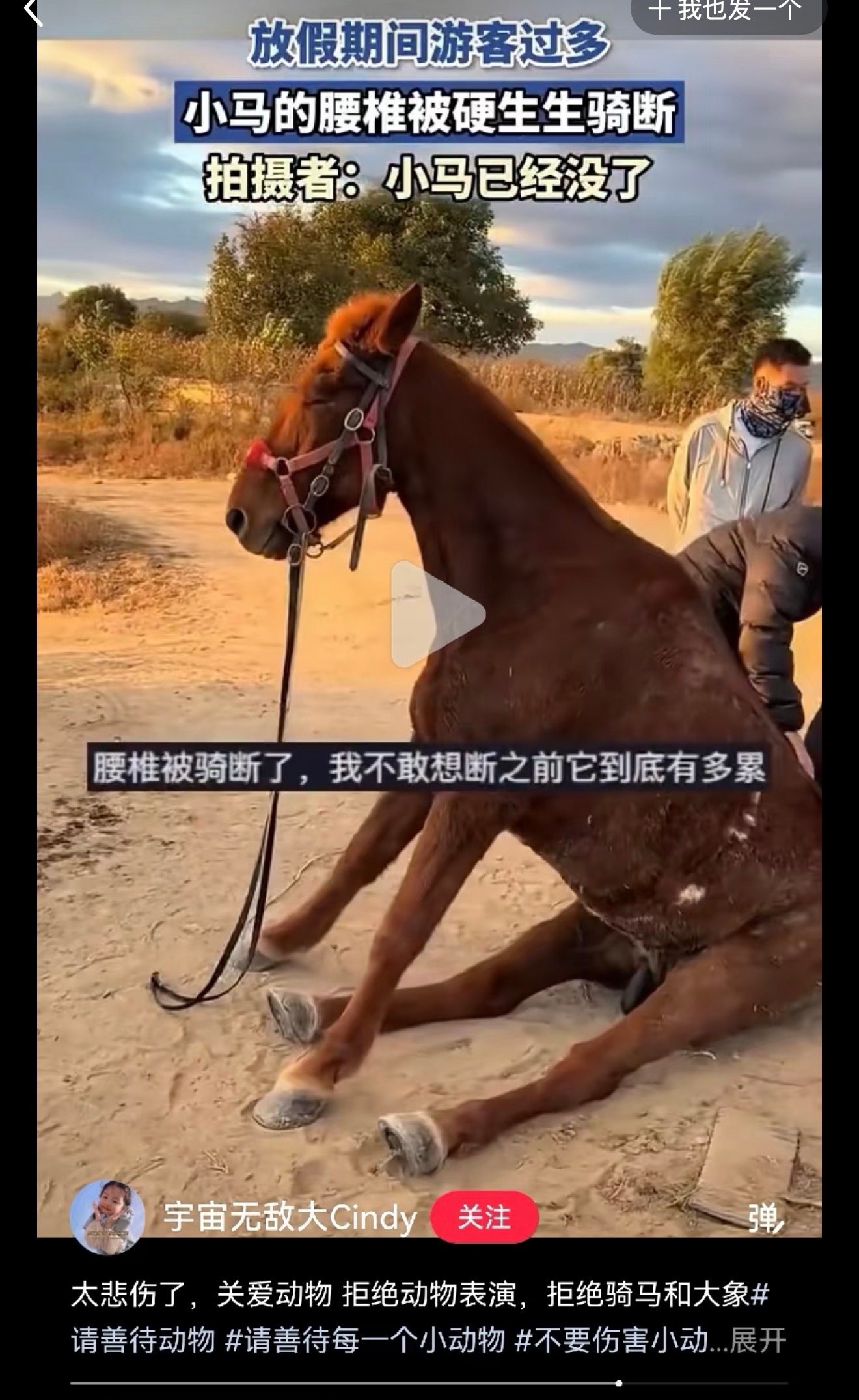 真的给我看崩溃了…….​​​