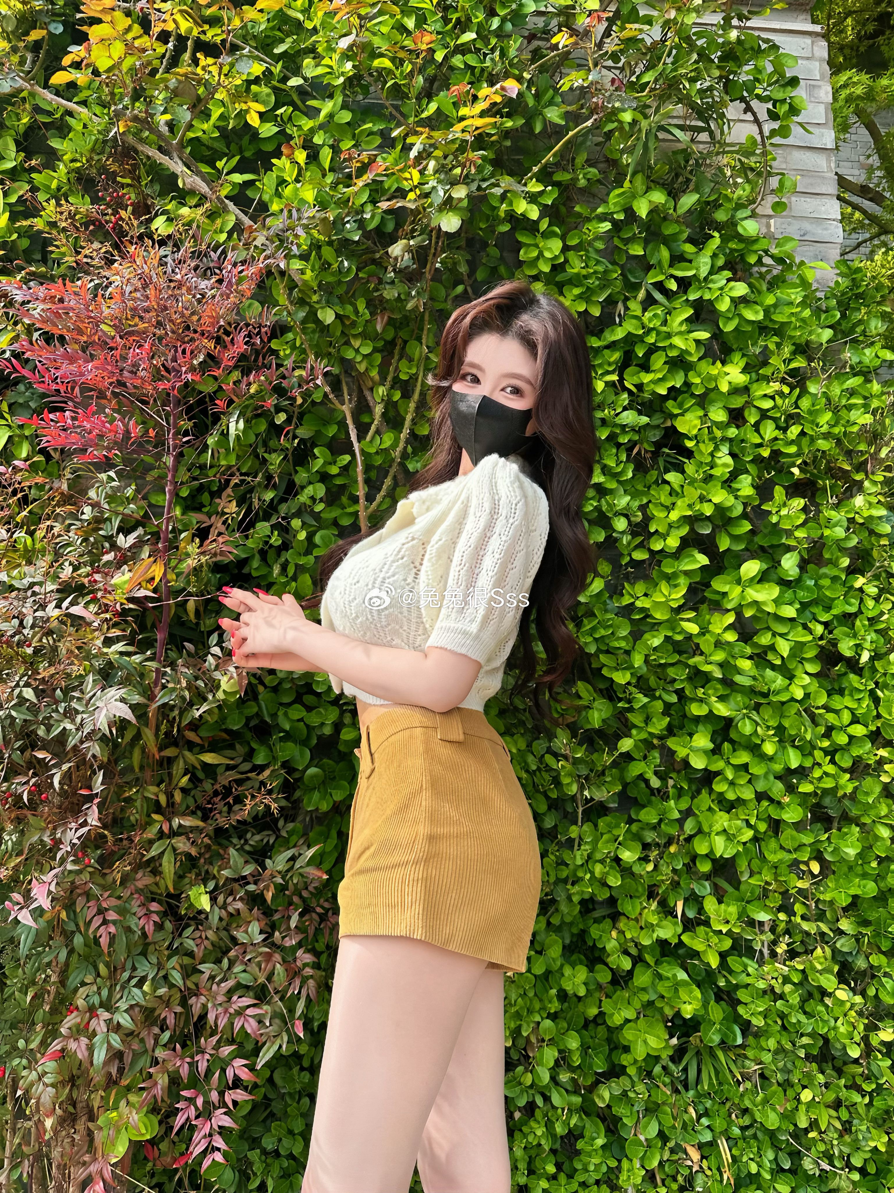 天气好的话我会去见你🌳