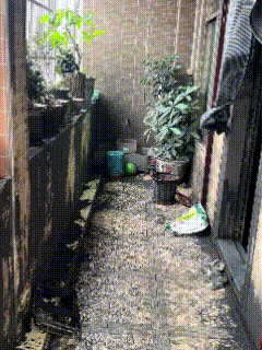 汕头，裕丰五金店大火后的内部录像！洗衣机、家具、阳台的衣服等，基本没被烧到，烟熏