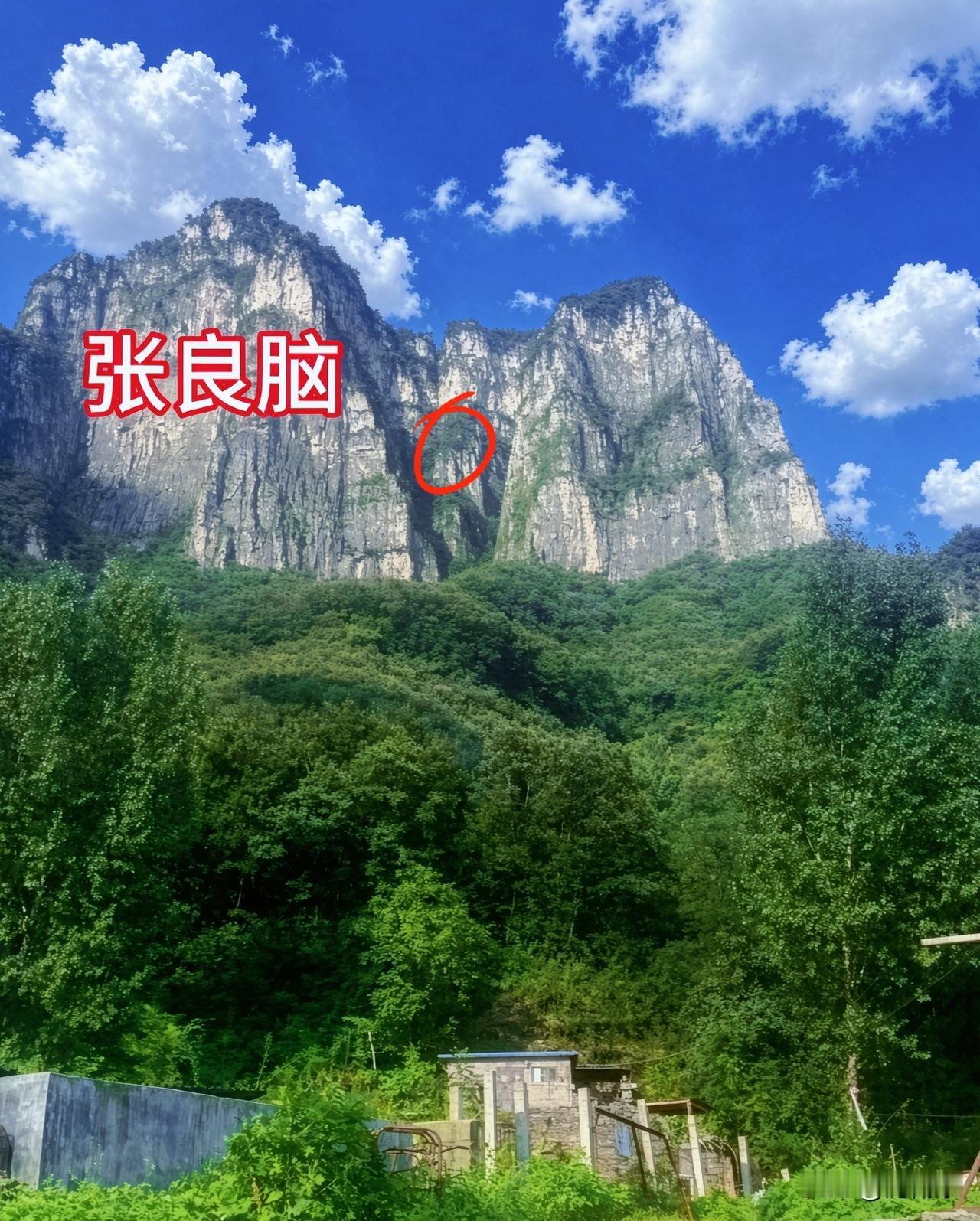 我叔是个老派人，平时就爱研究山川地形、户外地势特点。程梦圆失联的事儿一出，他盯着