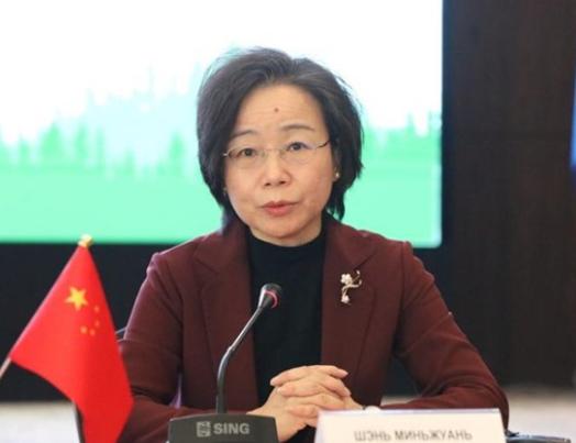 换人了，外交部亚洲司司长。据中国外交部官方消息，亚洲司司长目前已由沈敏娟担任。
