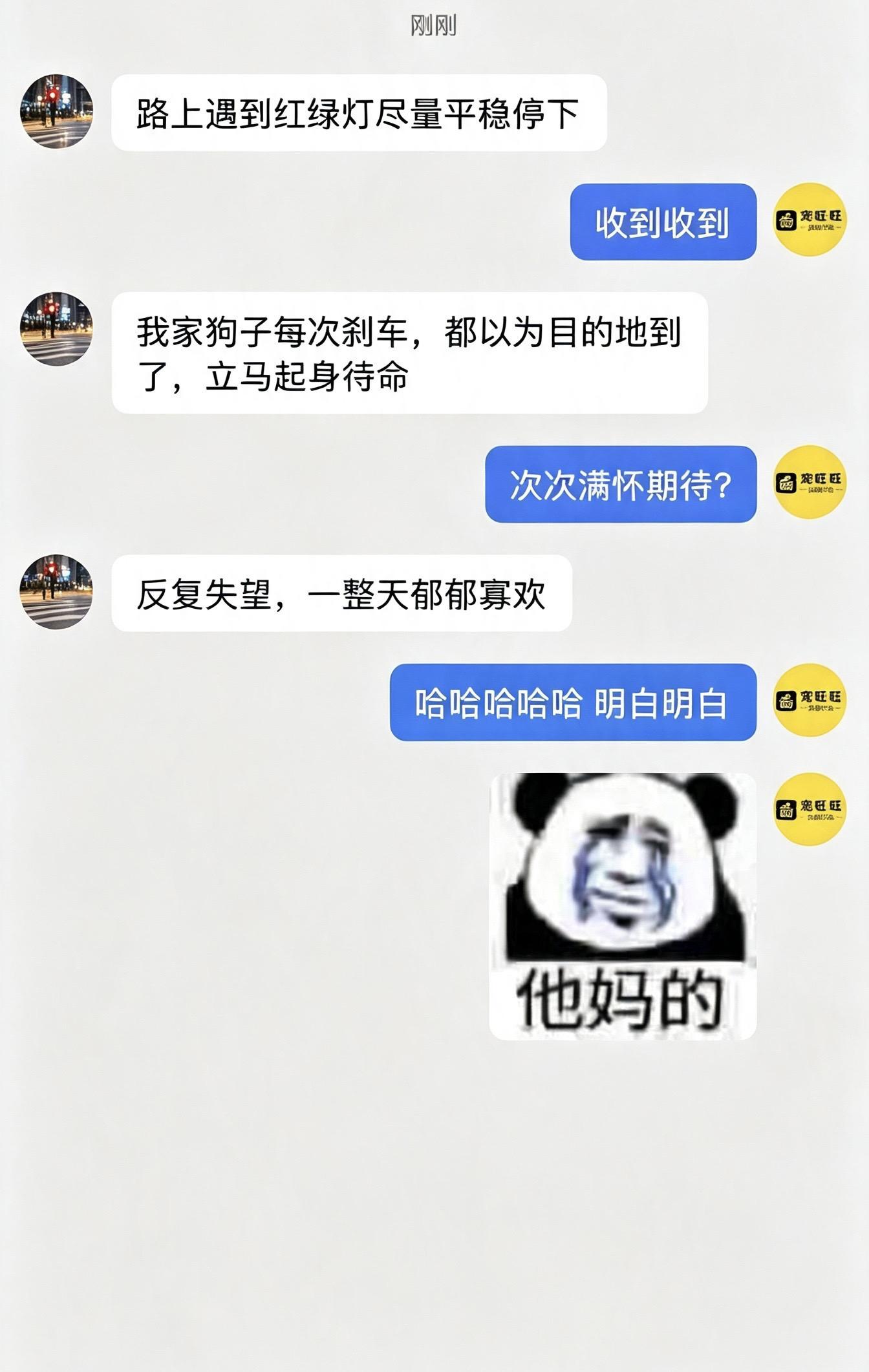 每天经历无数次失望的小狗。