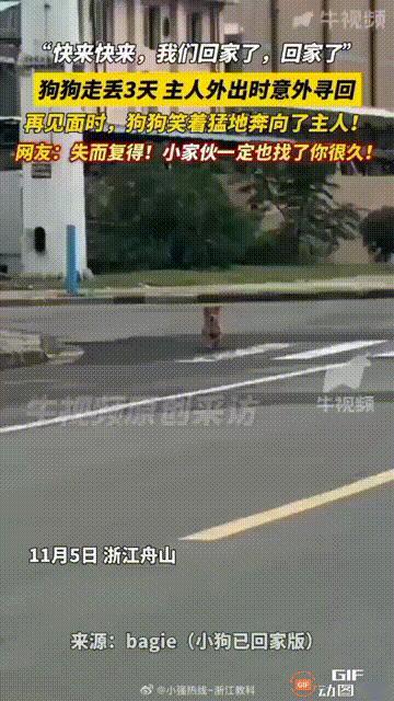 浙江舟山一名年轻女子养的小狗前天上街后没回家。女子贴了十几张寻狗启事，问遍邻居找