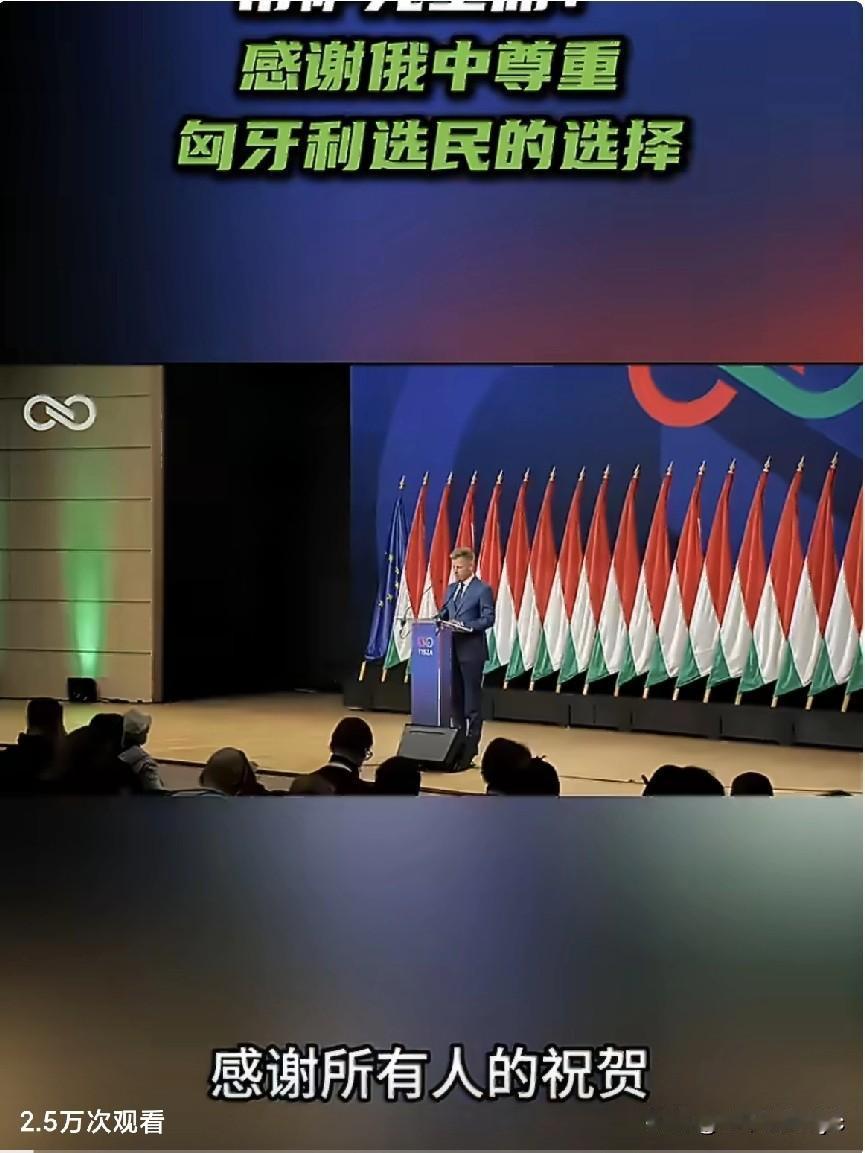 4月13日，在匈牙利议会选举中获胜的反对党蒂萨党领导人毛焦尔在国际新闻发布会上，